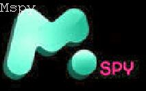 What Is the Cost of Mspy
