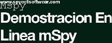Is Mspy Illegal