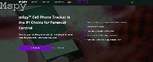 How Accurate Is Mspy Location