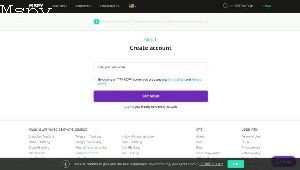 How Much Is Mspy for a Year