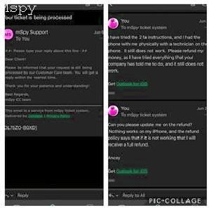 How to Defend Mspy