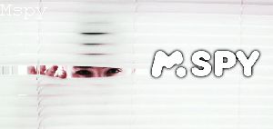 Is Mspy Stealth