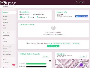 Is Mspy Effective