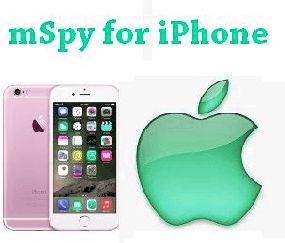 Is Mspy Legimate
