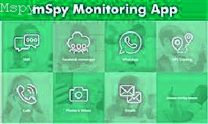 Is Mspy Trustworthy