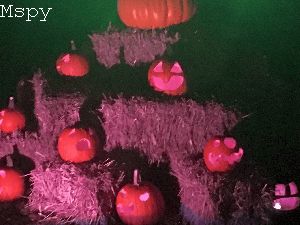 What Is Mspy Reviews