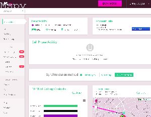What Is the Cost for Mspy