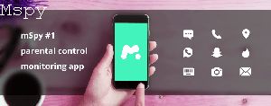 Why Is Mspy So Expensive