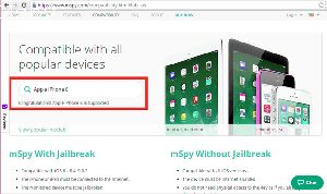 How Do I Get Mspy