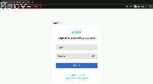 How Safe Is Mspy