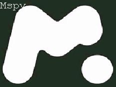 Is Mspy Reliable