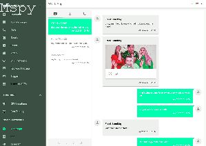 Is Mspy Expensive