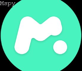 Is Mspy Fake