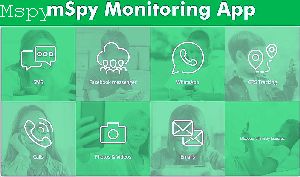Mspy Premium Price