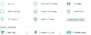 What Can You See on Mspy