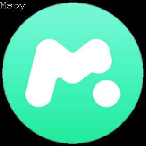 Mspy Problems