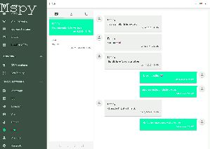 Is Mspy Secure