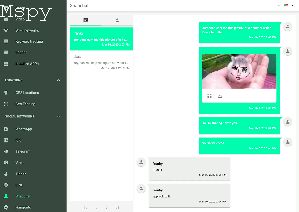 Mspy Login