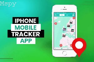 What Is Geofencing on Mspy