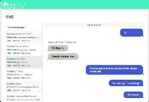 What Is Massistance Usimg Mspy