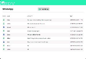 How to Make Mspy Visible Again
