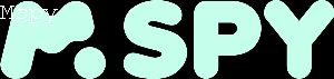 How to Check if Your Computer Is Being Monitored With Mspy