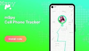 Which Export to Choose With Mspy