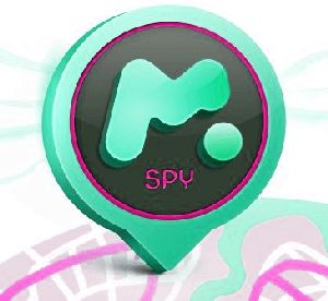 How Long Does It Take to Install Mspy