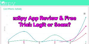 How to Install Mspy on Ipad