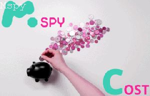 How to Install Mspy Ontarget Phone So That Owner Can Not Detect