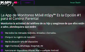 Does Mspy Work