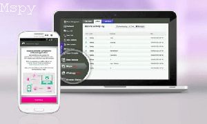 Does Mspy Work With Two Factor Authentication