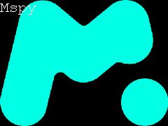 Does Mspy Work After Data Wipe