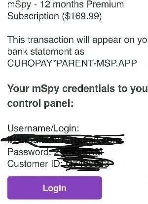 How Does Mspy Work Youtube