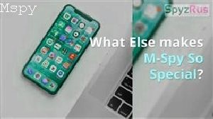 How to Use Mspy App