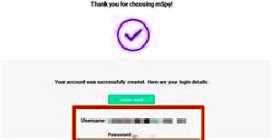 How Much Is Mspy App