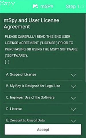 What Does Mspy App Look Like