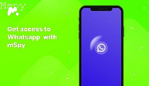 What Does the Mspy App Look Like