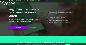 Can You Use Mspy on Multiple Devices