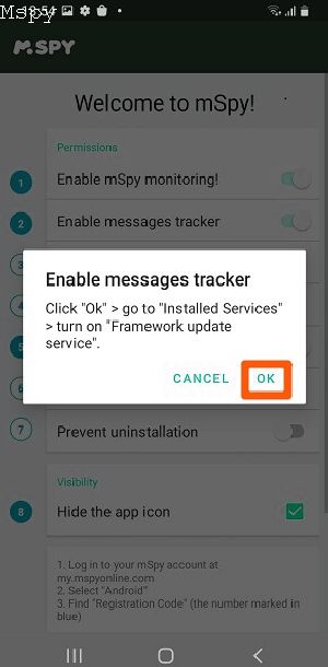 How Is Mspy Installed