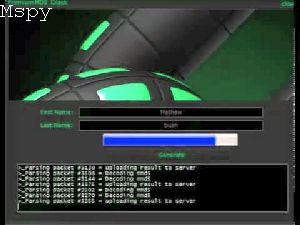 What Does Mspy Show