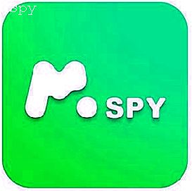 Mspy Whatsapp Review