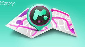 Can Mspy See Deleted Messages