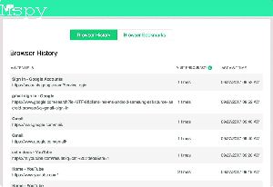 Will Factory Hard Reset Delete Mspy