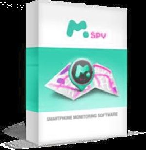 Do You Have to Have Target Phone for Mspy