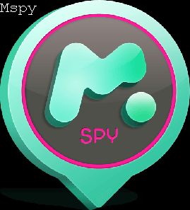 Can McAfee Find Mspy