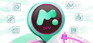 What Does Mspy Cost