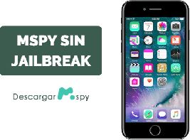 How Does Mspy Works