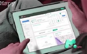 How to Cancel Mspy Lite Subscription