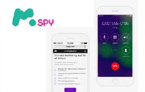 How Does Mspy Install
